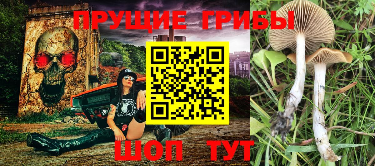 Элиста  Галлюциногенные грибы мицелий  Вход с VPN  Галлюциногенные грибы ЛСД 