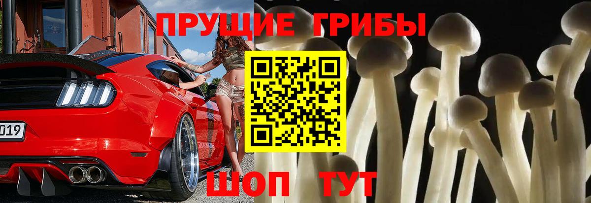 Галлюциногенные грибы GOLDEN TEACHER Элиста